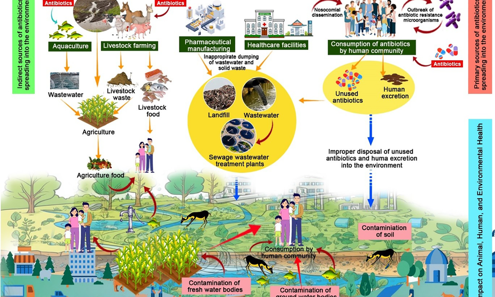 Why interoperability matters for AMR surveillance in Uganda