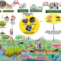 Why interoperability matters for AMR surveillance in Uganda