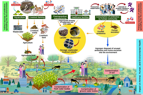 Why interoperability matters for AMR surveillance in Uganda