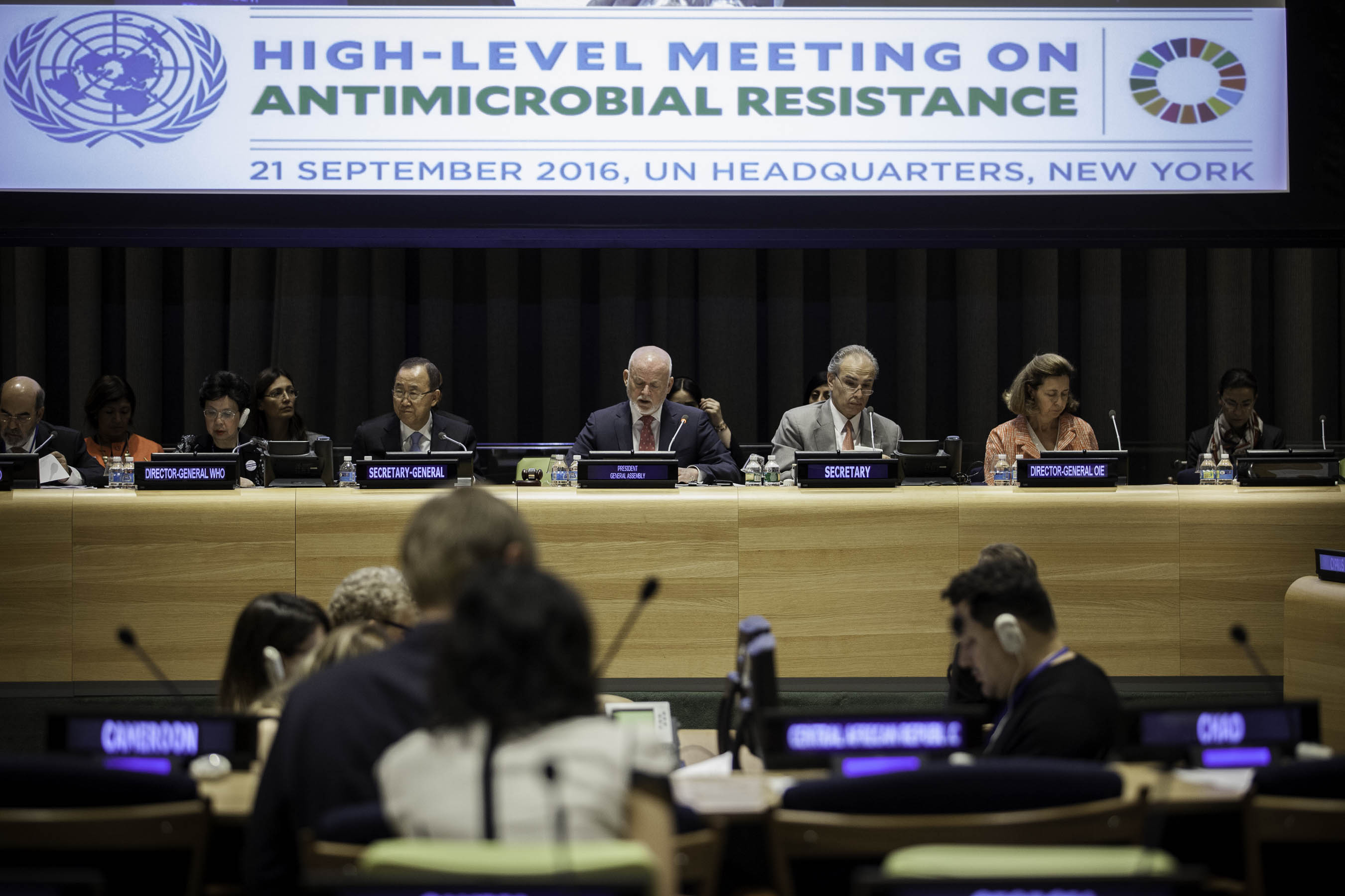 UN High-Level Meeting on AMR