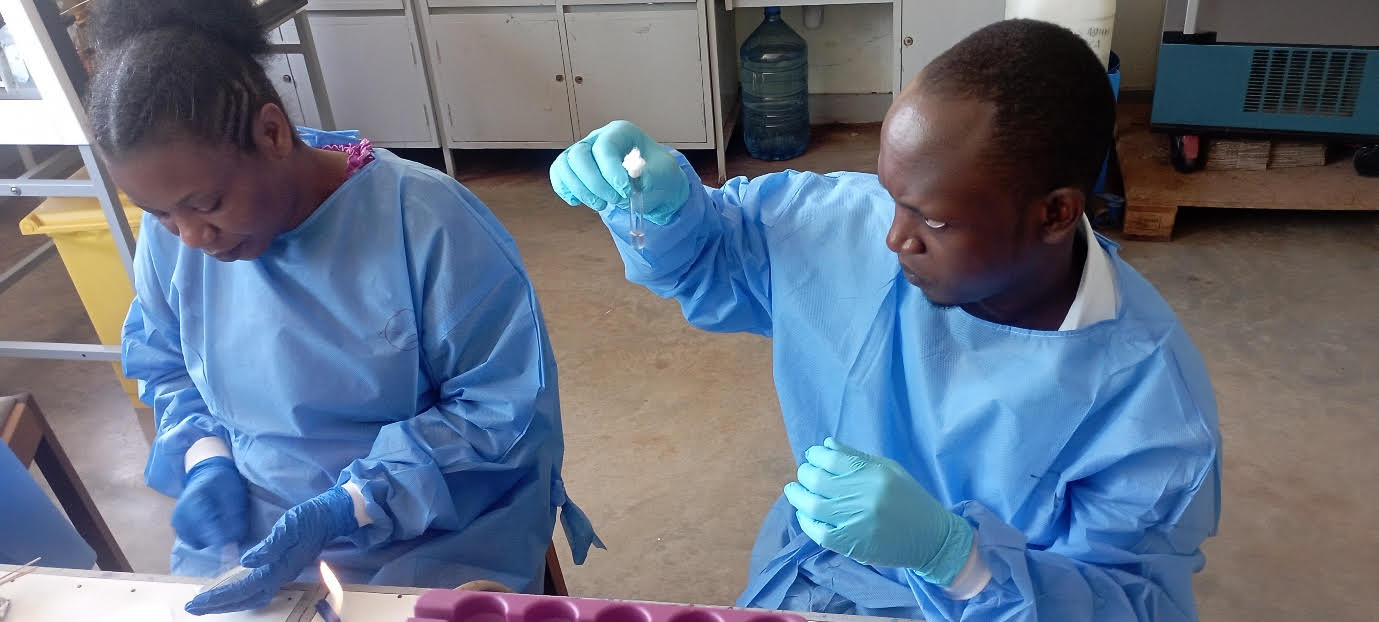 Researcher inspecting sample in the laboratory